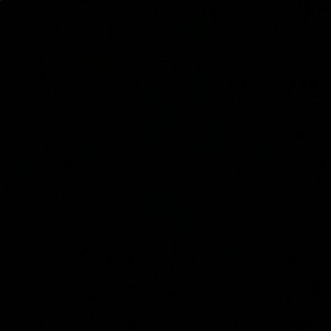 Meet your Posher, Sherese